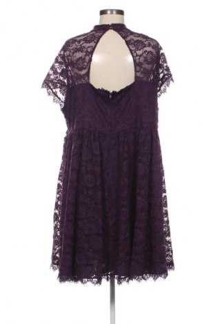 Kleid Torrid, Größe XXL, Farbe Lila, Preis € 12,99