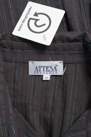 Γυναικείο πουκάμισο Attesa, Μέγεθος M, Χρώμα Καφέ, Τιμή 18,04 €