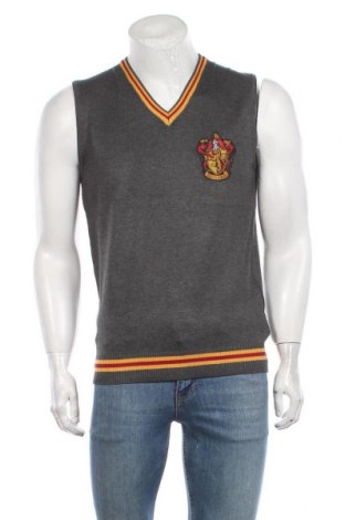 Ανδρικό πουλόβερ Harry Potter, Μέγεθος M, Χρώμα Γκρί, 71% βισκόζη, 29% πολυεστέρας, Τιμή 11,55 €