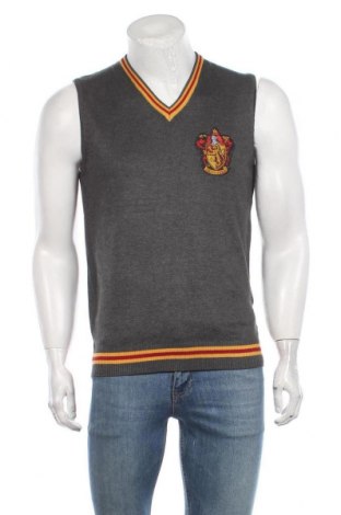 Мъжки пуловер Harry Potter, Размер M, Цвят Сив, 71% вискоза, 29% полиестер, Цена 38,35 лв.