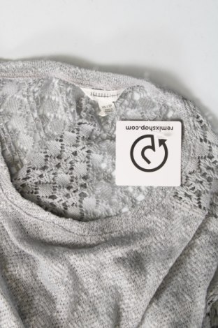 Γυναικεία μπλούζα Aerosoles, Μέγεθος XS, Χρώμα Μπλέ, Τιμή 4,21 €