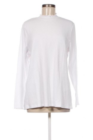 Γυναικεία μπλούζα Anna Field, Μέγεθος 3XL, Χρώμα Λευκό, Τιμή 6,39 €