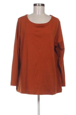 Γυναικεία μπλούζα C&A, Μέγεθος XL, Χρώμα Πορτοκαλί, Τιμή 9,62 €