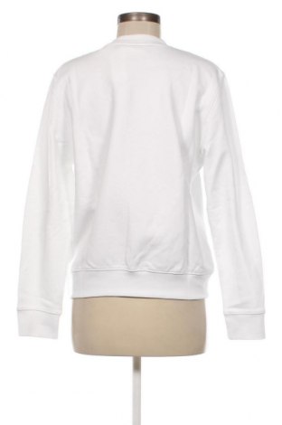 Γυναικεία μπλούζα Calvin Klein, Μέγεθος S, Χρώμα Λευκό, Τιμή 63,92 €