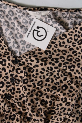 Γυναικεία μπλούζα Clockhouse, Μέγεθος XS, Χρώμα Πολύχρωμο, Τιμή 11,75 €