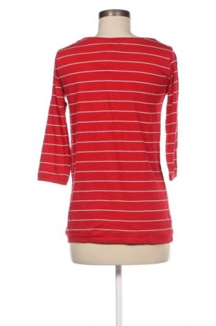 Γυναικεία μπλούζα Colours Of The World, Μέγεθος S, Χρώμα Κόκκινο, Τιμή 1,76 €