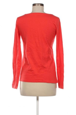 Damen Shirt Colours Of The World, Größe S, Farbe Rot, Preis 13,22 €