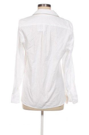 Γυναικεία μπλούζα Corley, Μέγεθος M, Χρώμα Λευκό, Τιμή 11,75 €