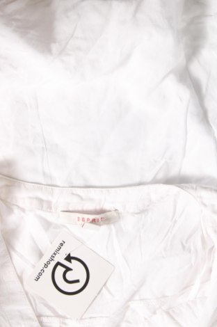 Damen Shirt Esprit, Größe L, Farbe Weiß, Preis € 17,00