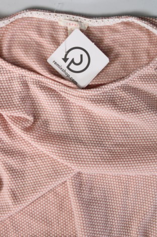 Damen Shirt Esprit, Größe M, Farbe Rosa, Preis € 4,73