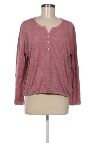 Damen Shirt Franco Callegari, Größe XL, Farbe Rosa, Preis 7,93 €