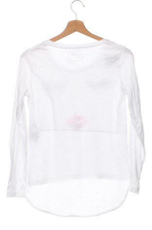 Γυναικεία μπλούζα Gas, Μέγεθος XXS, Χρώμα Λευκό, Τιμή 17,00 €