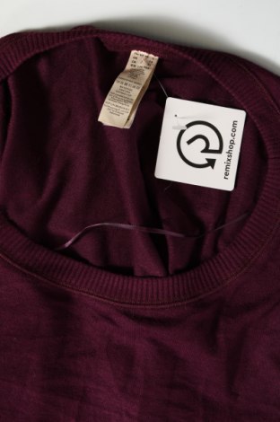 Γυναικεία μπλούζα Hop Lun, Μέγεθος L, Χρώμα Βιολετί, Τιμή 2,35 €