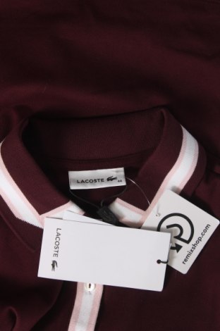 Damen Shirt Lacoste, Größe XL, Farbe Rot, Preis 82,99 €