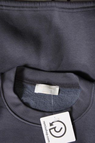 Damen Shirt LeGer By Lena Gercke X About you, Größe S, Farbe Grau, Preis 39,69 €