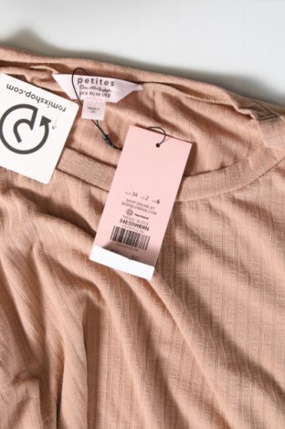 Γυναικεία μπλούζα Miss Selfridge, Μέγεθος XS, Χρώμα  Μπέζ, Τιμή 4,79 €