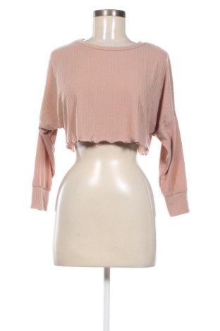 Damen Shirt Miss Selfridge, Größe XS, Farbe Beige, Preis 31,96 €
