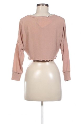 Γυναικεία μπλούζα Miss Selfridge, Μέγεθος XS, Χρώμα  Μπέζ, Τιμή 4,79 €