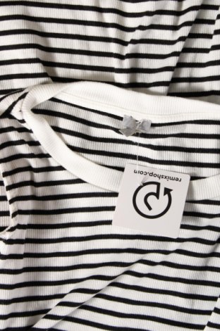 Γυναικεία μπλούζα Oviesse, Μέγεθος L, Χρώμα Πολύχρωμο, Τιμή 3,10 €