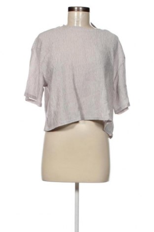 Γυναικεία μπλούζα Oviesse, Μέγεθος XL, Χρώμα Γκρί, Τιμή 15,98 €