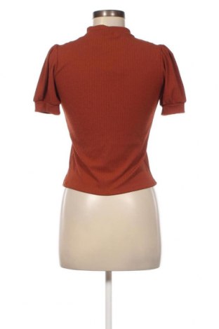 Damen Shirt Oviesse, Größe S, Farbe Braun, Preis € 7,19