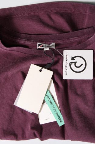 Γυναικεία μπλούζα Pepe Jeans, Μέγεθος S, Χρώμα Βιολετί, Τιμή 22,27 €