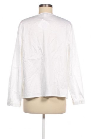 Γυναικεία μπλούζα Peter Hahn, Μέγεθος XL, Χρώμα Λευκό, Τιμή 23,75 €