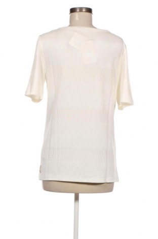 Damen Shirt Scotch & Soda, Größe XL, Farbe Ecru, Preis 54,77 €
