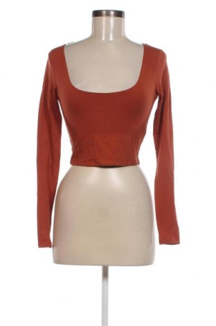 Damen Shirt Tally Weijl, Größe XS, Farbe Braun, Preis 2,40 €