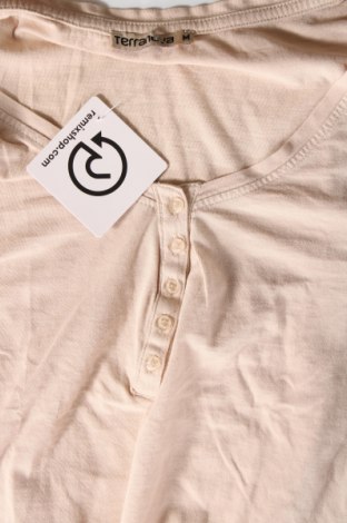 Γυναικεία μπλούζα Terranova, Μέγεθος M, Χρώμα Εκρού, Τιμή 4,70 €
