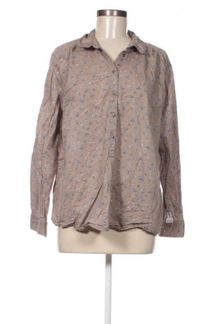 Γυναικεία μπλούζα Yessica, Μέγεθος XXL, Χρώμα  Μπέζ, Τιμή 11,75 €
