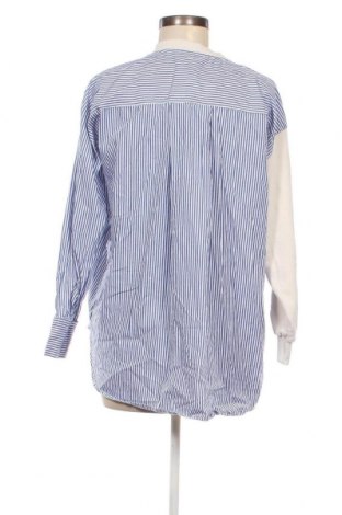 Damen Shirt Zara, Größe S, Farbe Ecru, Preis € 13,84