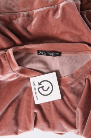 Damen Shirt Zara, Größe L, Farbe Rosa, Preis 3,95 €