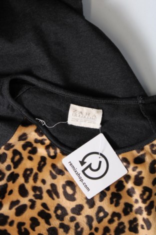 Damen Shirt Zara Trafaluc, Größe M, Farbe Mehrfarbig, Preis 3,76 €