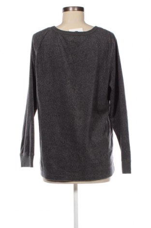 Γυναικεία μπλούζα fleece DKNY, Μέγεθος L, Χρώμα Γκρί, Τιμή 6,96 €