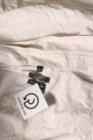 Γυναικείο πουκάμισο C.Comberti, Μέγεθος L, Χρώμα Πολύχρωμο, Τιμή 6,24 €