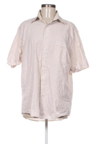 Γυναικείο πουκάμισο C.Comberti, Μέγεθος L, Χρώμα Πολύχρωμο, Τιμή 6,24 €