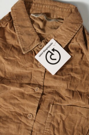 Γυναικείο πουκάμισο Zara, Μέγεθος M, Χρώμα Καφέ, Τιμή 3,34 €