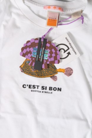 Kinder T-Shirt Scotch & Soda, Größe 13-14y/ 164-168 cm, Farbe Ecru, Preis € 37,11