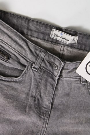 Damen Jeans Blue Motion, Größe L, Farbe Grau, Preis € 5,25