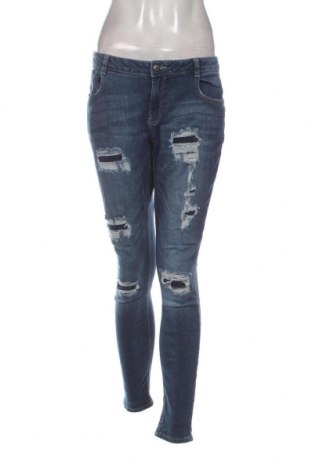 Damen Jeans Denim Co., Größe L, Farbe Blau, Preis 8,45 €