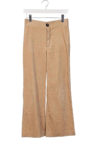 Pantaloni de velvet de femei Zara, Mărime XS, Culoare Maro, Preț 27,55 Lei
