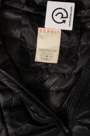 Dámská vesta  Esprit, Velikost M, Barva Černá, Cena  845,00 Kč
