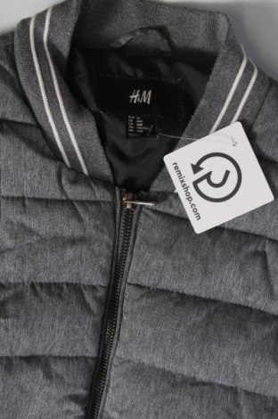 Damenweste H&M, Größe XL, Farbe Grau, Preis € 10,77