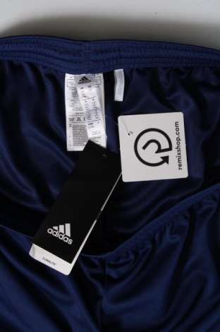 Damen Shorts Adidas, Größe L, Farbe Blau, Preis € 39,69