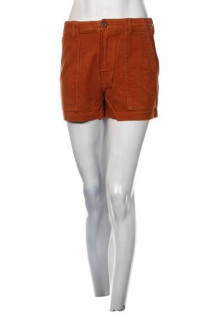Γυναικείο κοντό παντελόνι Outerknown, Μέγεθος S, Χρώμα Καφέ, Τιμή 30,10 €