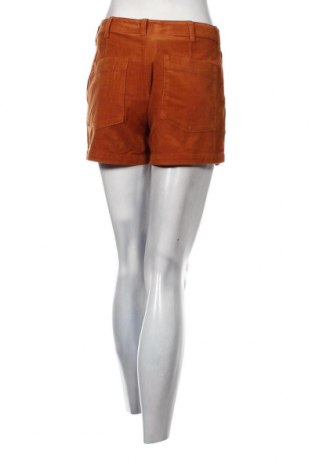 Γυναικείο κοντό παντελόνι Outerknown, Μέγεθος S, Χρώμα Καφέ, Τιμή 30,10 €