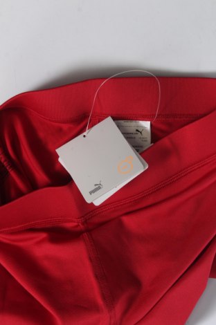Damen Leggings PUMA, Größe S, Farbe Rot, Preis € 39,69