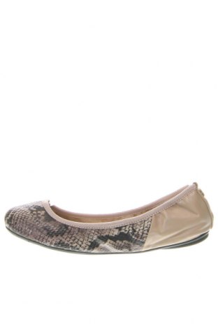 Γυναικεία παπούτσια Butterfly Twists, Μέγεθος 38, Χρώμα Πολύχρωμο, Τιμή 16,00 €