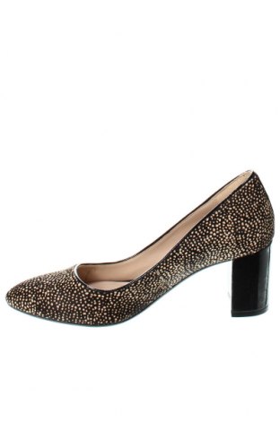 Дамски обувки Clarks, Размер 36, Цвят Многоцветен, Цена 137,16 лв.